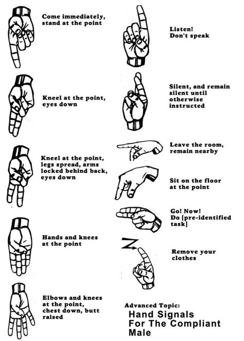 bdsm hand signals|Illustrated Guide .